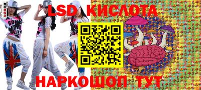 СК Можга