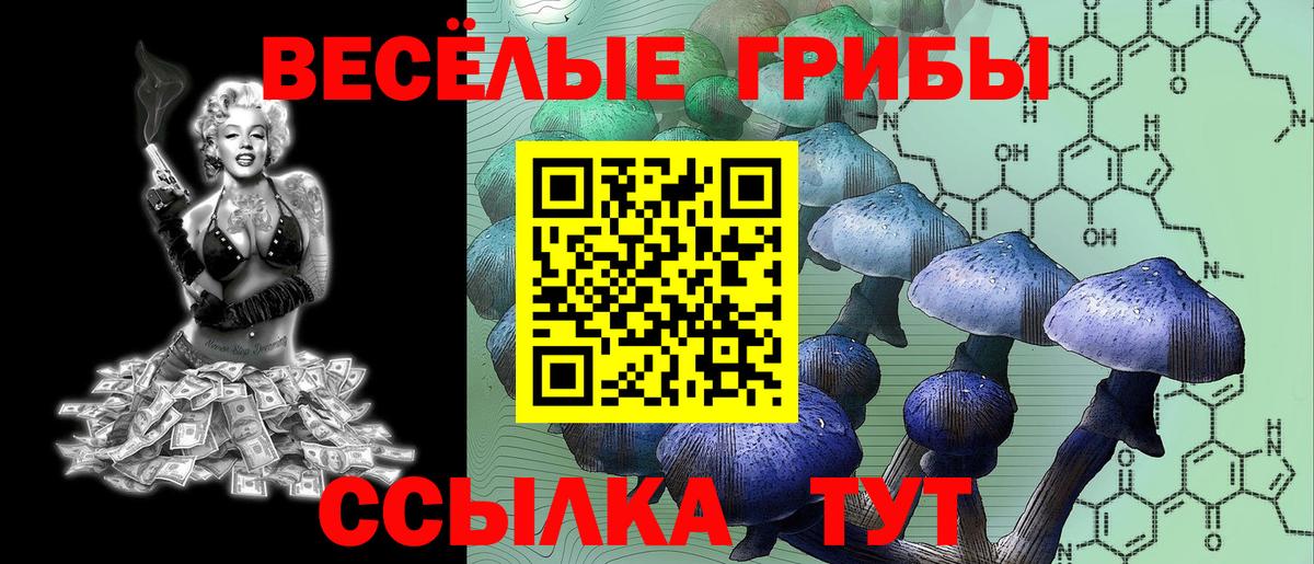 Смоленск  Галлюциногенные грибы Cubensis  купить закладку  Вход с VPN 